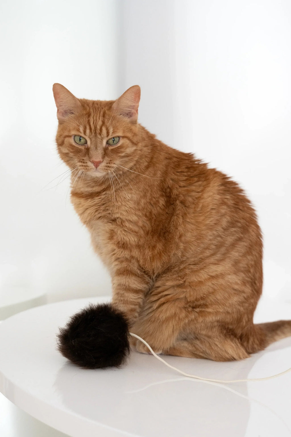 Natural woolen cat toy ball featuring a smooth wooden bead and a gentle metal bell — view 5