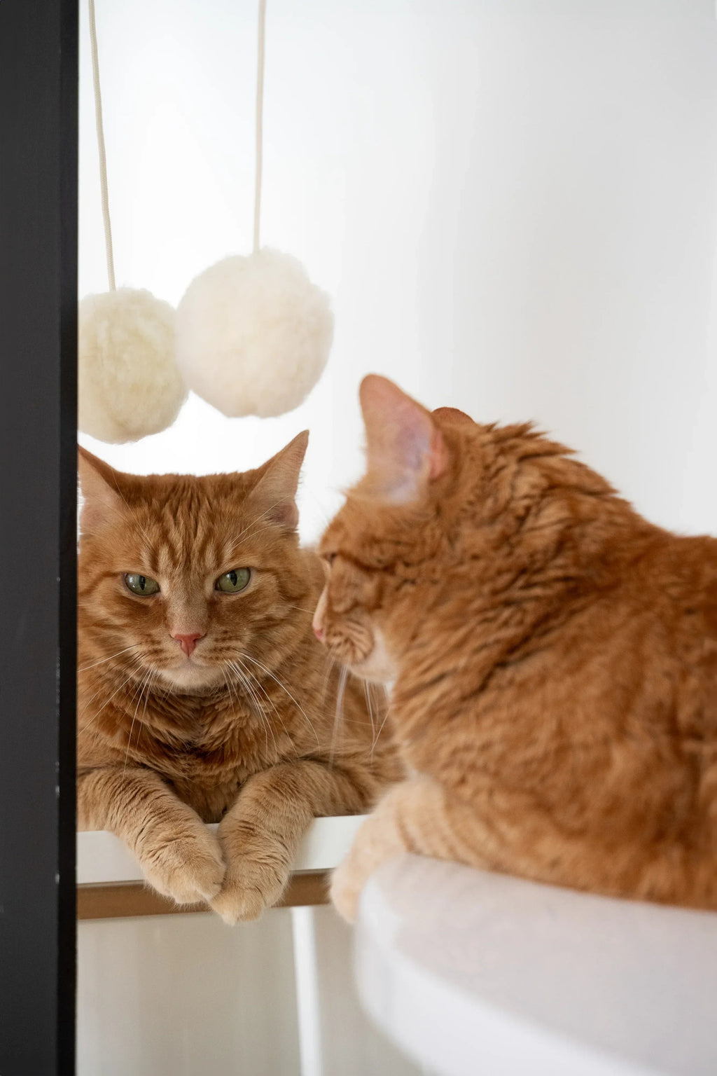 Natural woolen cat toy ball featuring a smooth wooden bead and a gentle metal bell — view 2