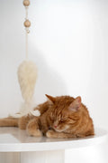 Natural woolen cat toy fish with wooden stick, jute string, metal bell, and feathers