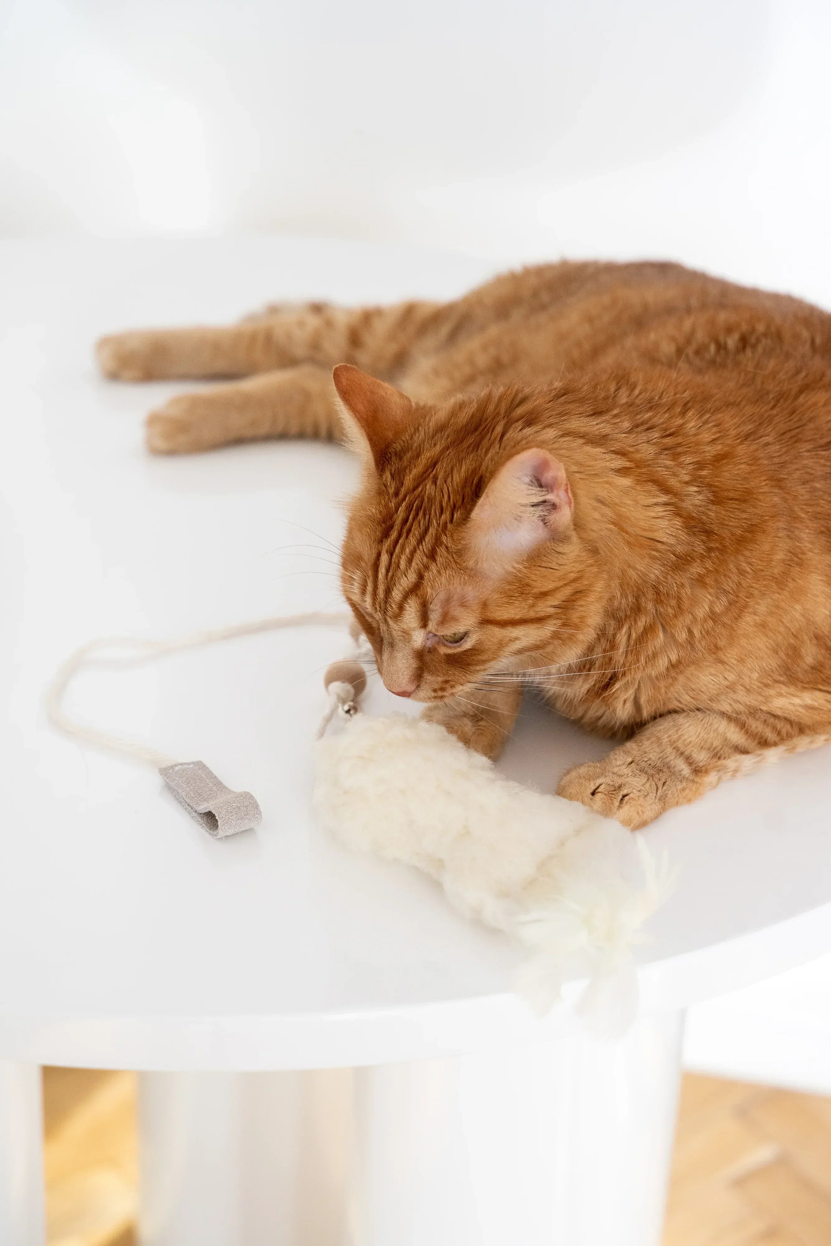 Natural woolen cat toy fish with wooden stick, jute string, metal bell, and feathers — view 4
