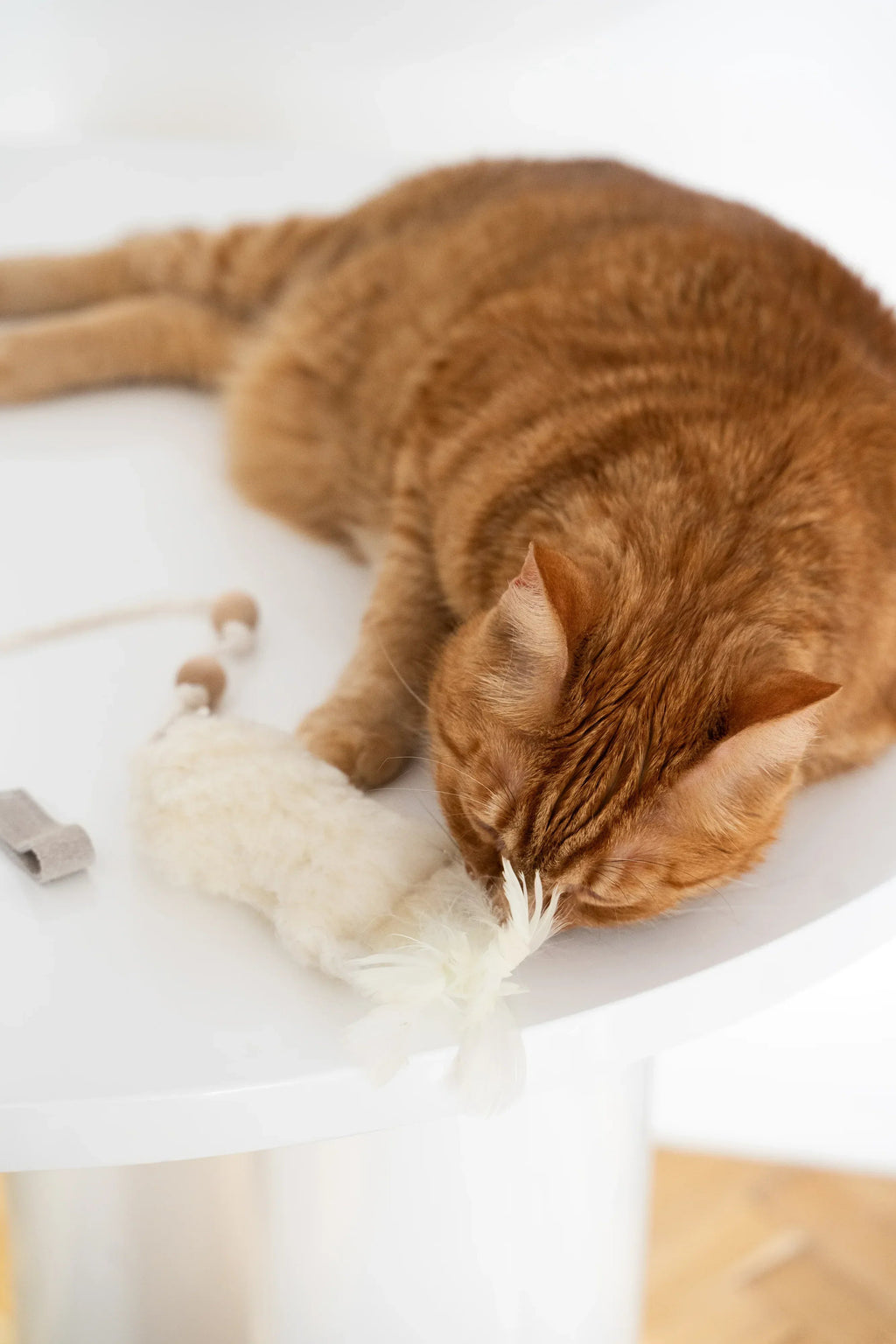 Natural woolen cat toy fish with wooden stick, jute string, metal bell, and feathers — view 5