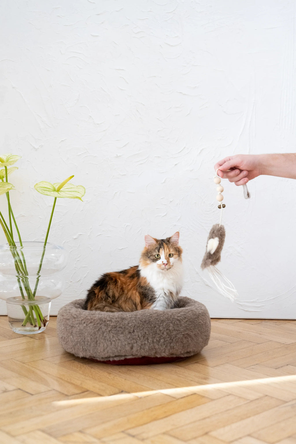 White natural sheepskin squid cat toy with jute string and wooden ball — view 5