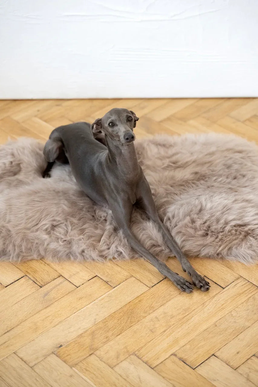 Square or Rectangular Natural Sheepskin Pet Mat - Greige-0