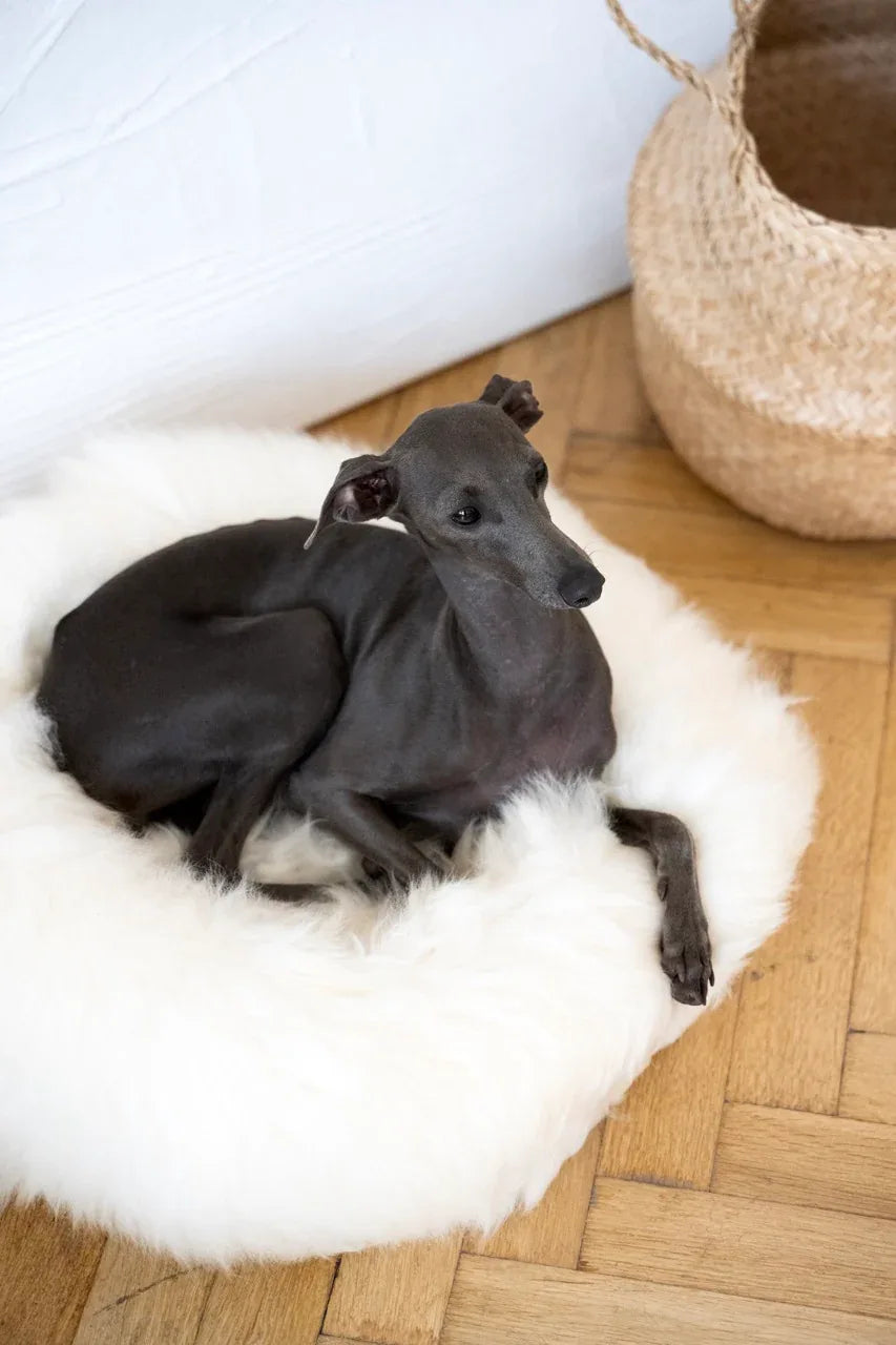 Round Natural Sheepskin Pet Bed - White-3