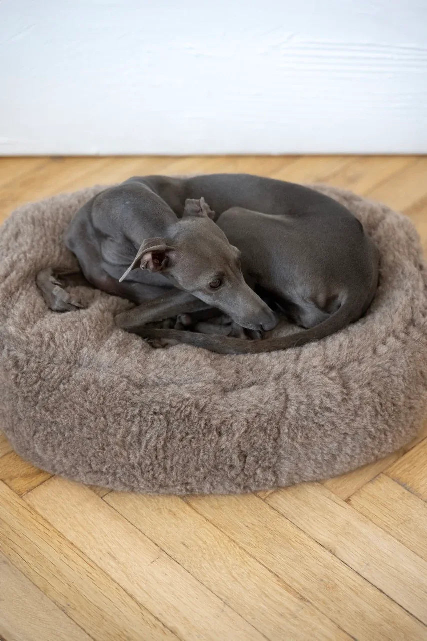 Oval Natural Wool Pet Bed - Beige-4