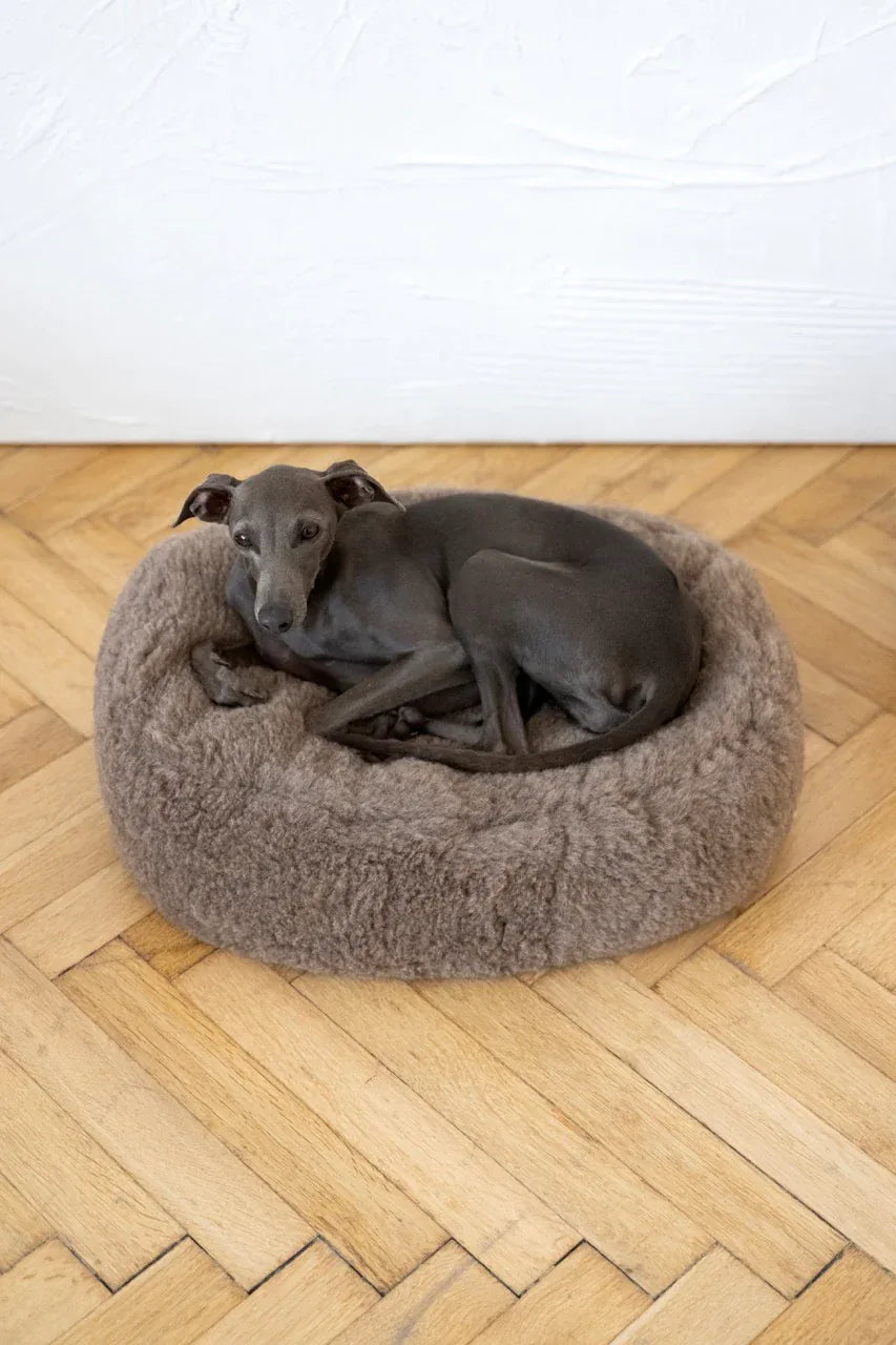 Oval Natural Wool Pet Bed - Beige-1