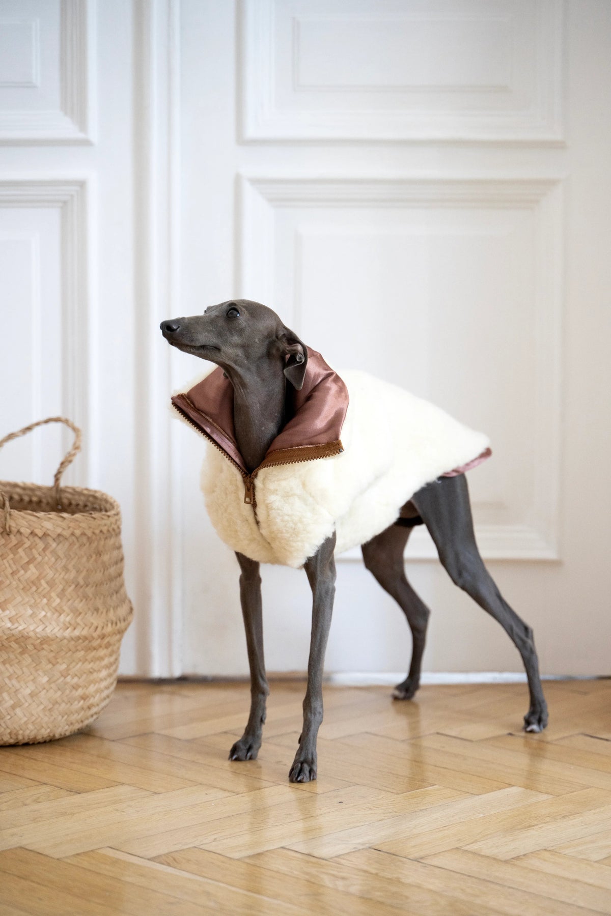 Woolen Dog Vest - White-0