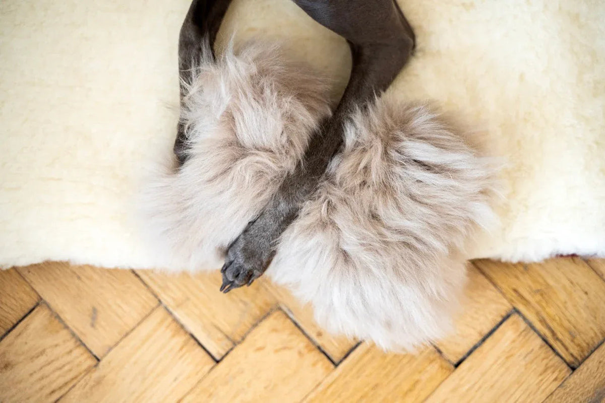 Natural Sheepskin Dog Toy - Bone - Beige-0