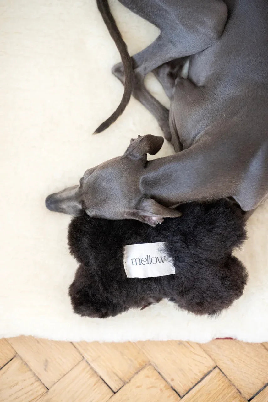 Natural sheepskin dog toy bone in black, filled with eco-friendly wool offcuts and hidden bell