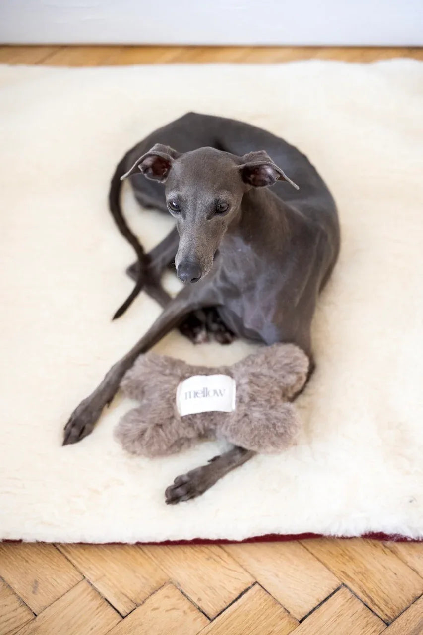 Natural woolen dog toy in beige bone shape for safe and eco-friendly pet playtime — view 2