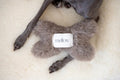 Natural woolen dog toy in beige bone shape for safe and eco-friendly pet playtime