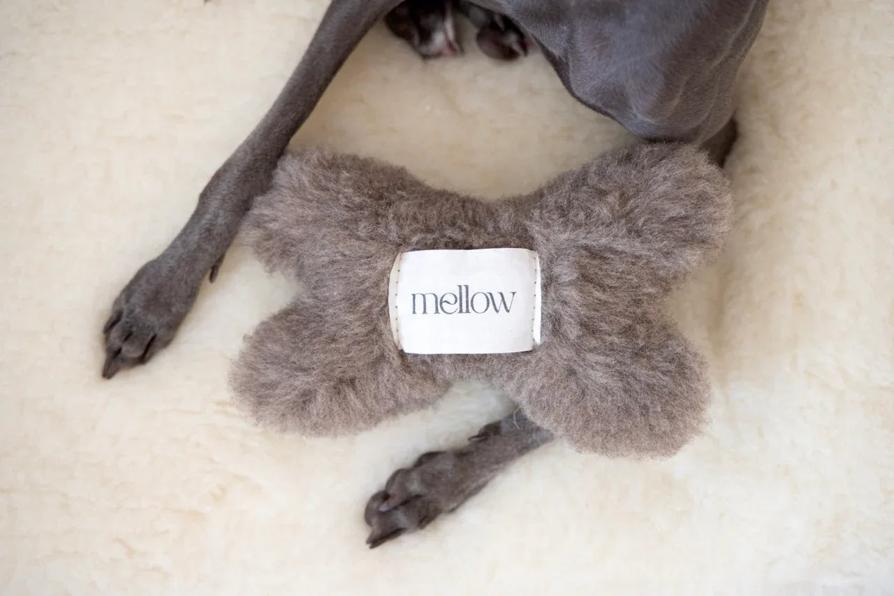Natural woolen dog toy in beige bone shape for safe and eco-friendly pet playtime