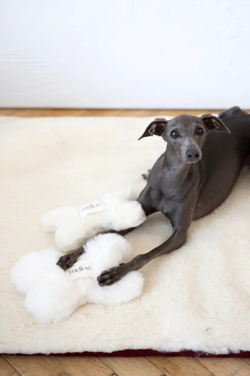 White natural sheepskin dog bone toy filled with eco friendly wool for safe pet play — view 2