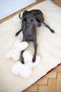 White natural wool bone shaped dog toy without plastic fillers for safe and sensory pet play