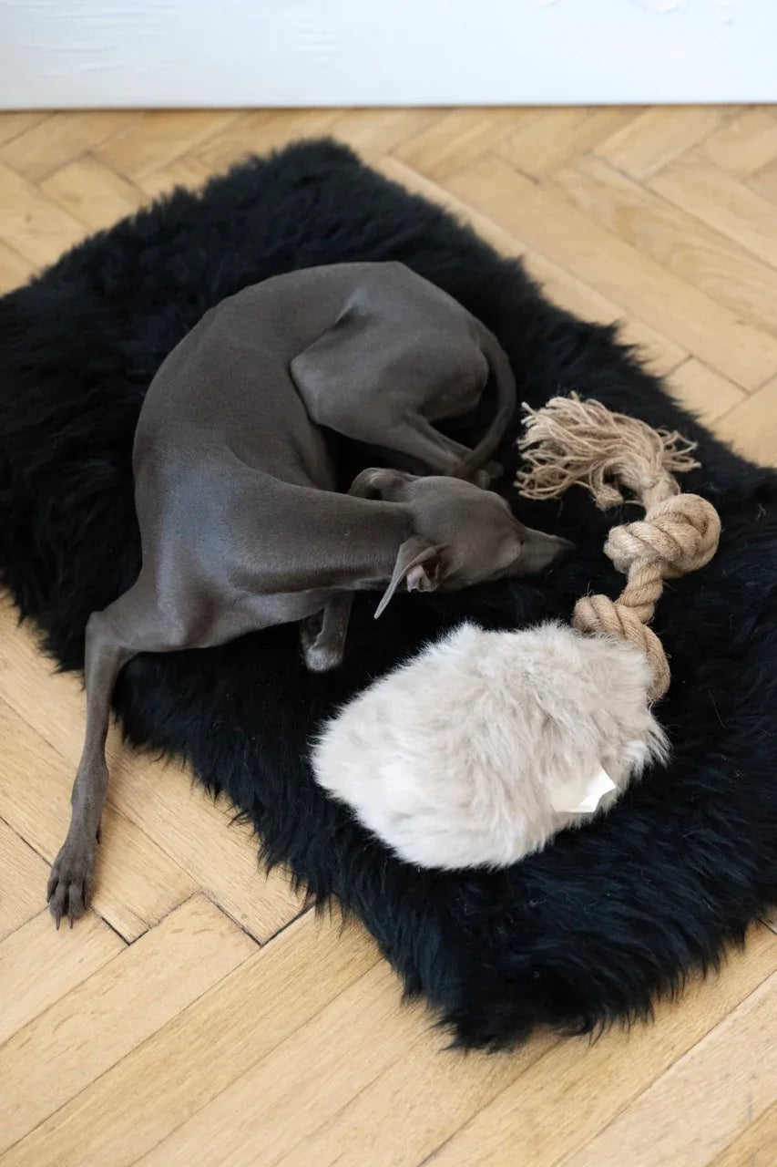 Natural sheepskin dog tug toy in beige with a sturdy natural fibre woven rope handle.