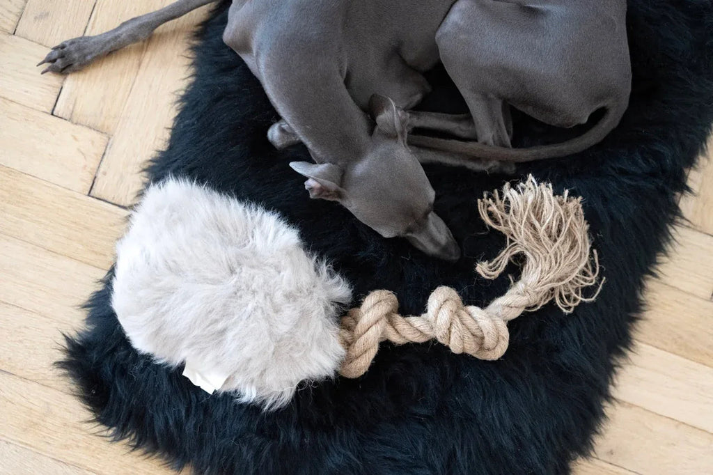 Natural sheepskin dog tug toy in beige with a sturdy natural fibre woven rope handle. — view 2
