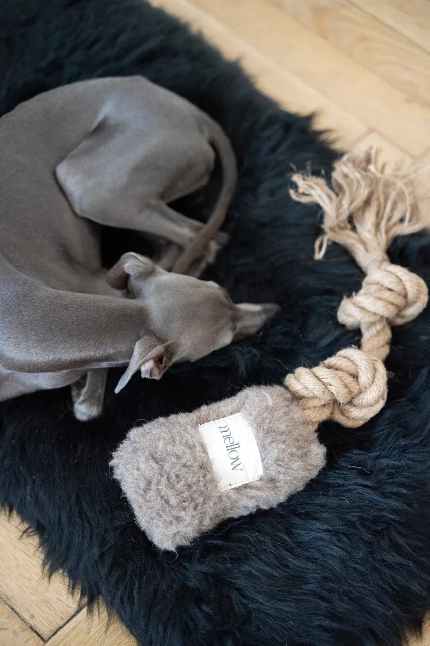 Natural woolen dog tug toy in beige with pure wool and natural jute handle