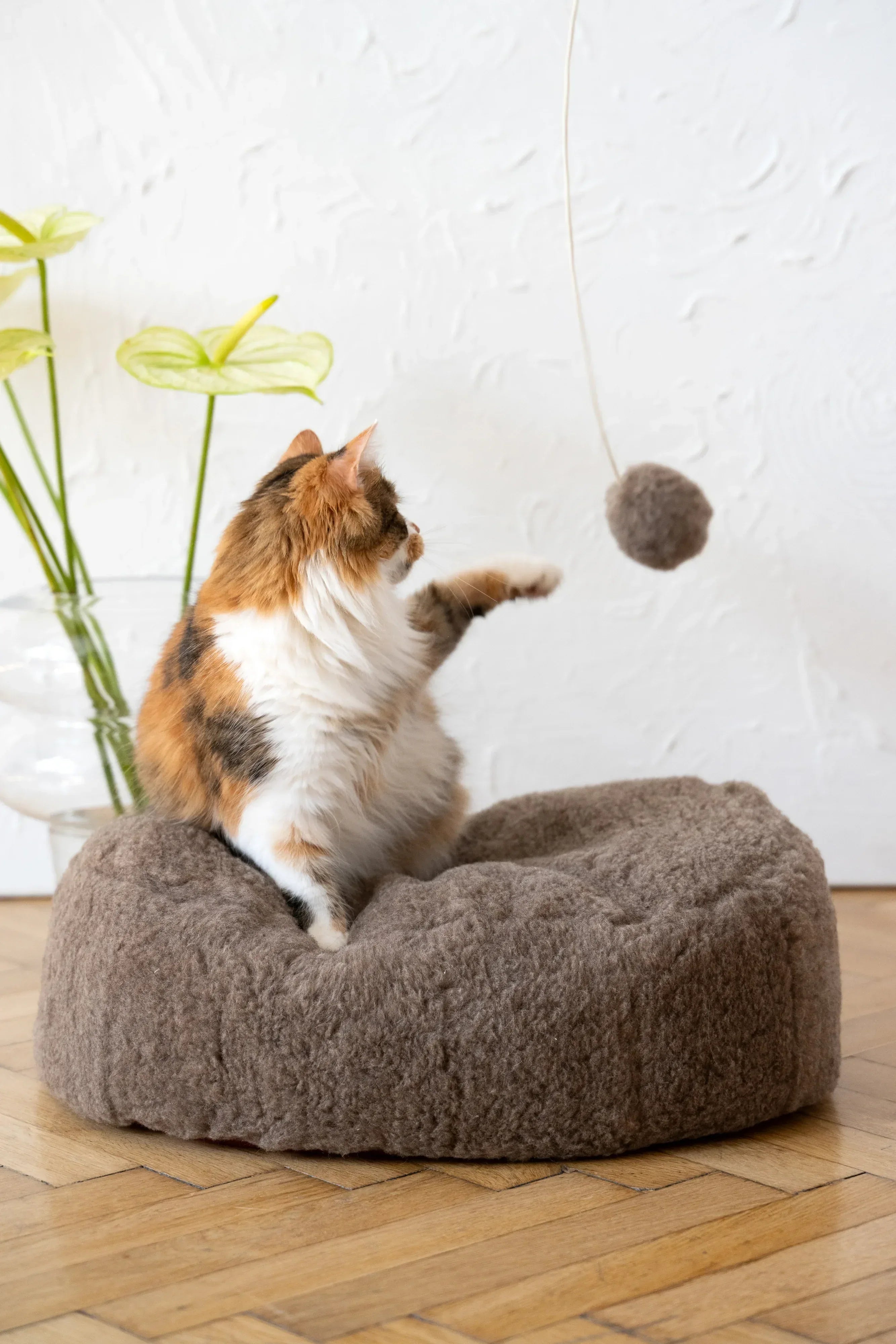 Natural sheepskin cat toy ball with wooden bead and soft bell for indoor play — view 4