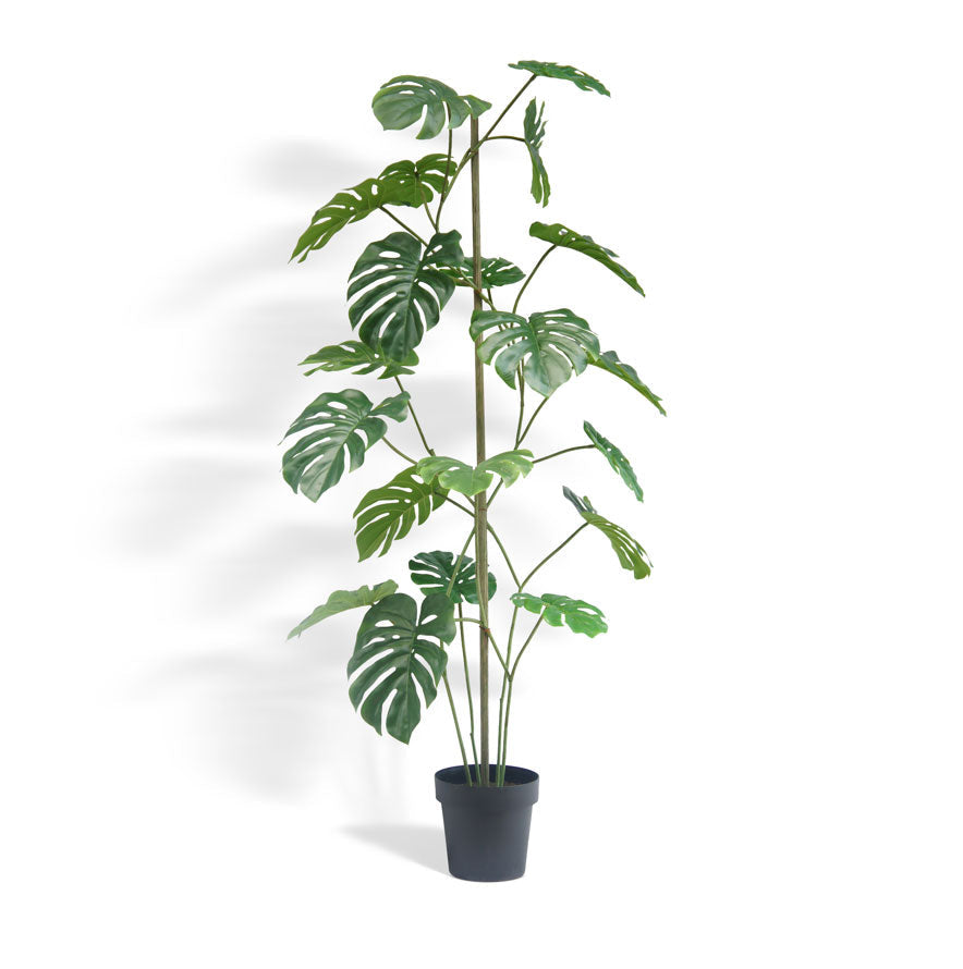 5' Artificial Monstera Tree-0