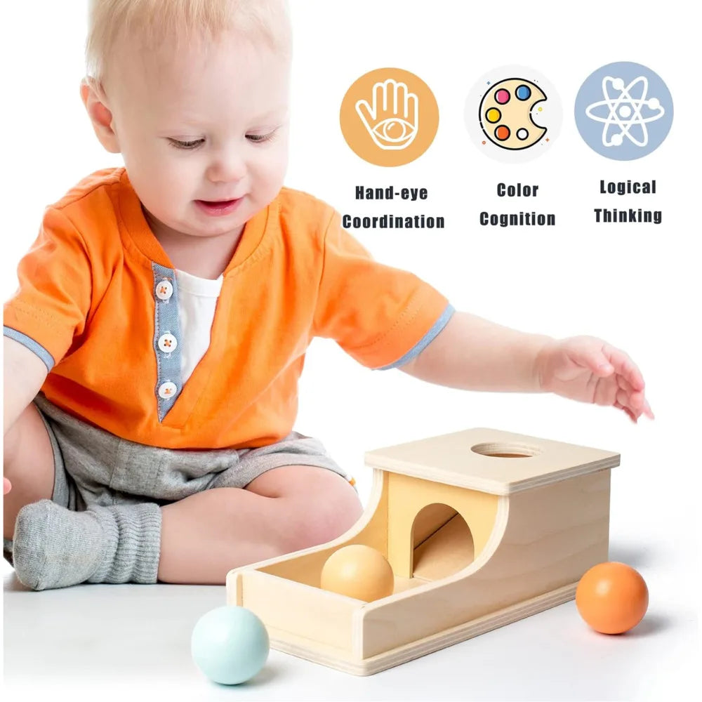Montessori Coin Ball Drum-1