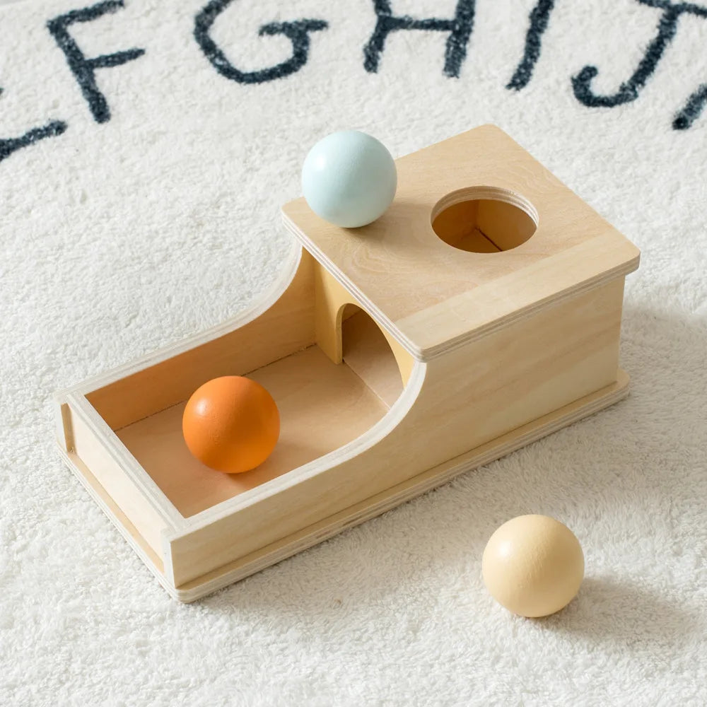 Montessori Coin Ball Drum-5