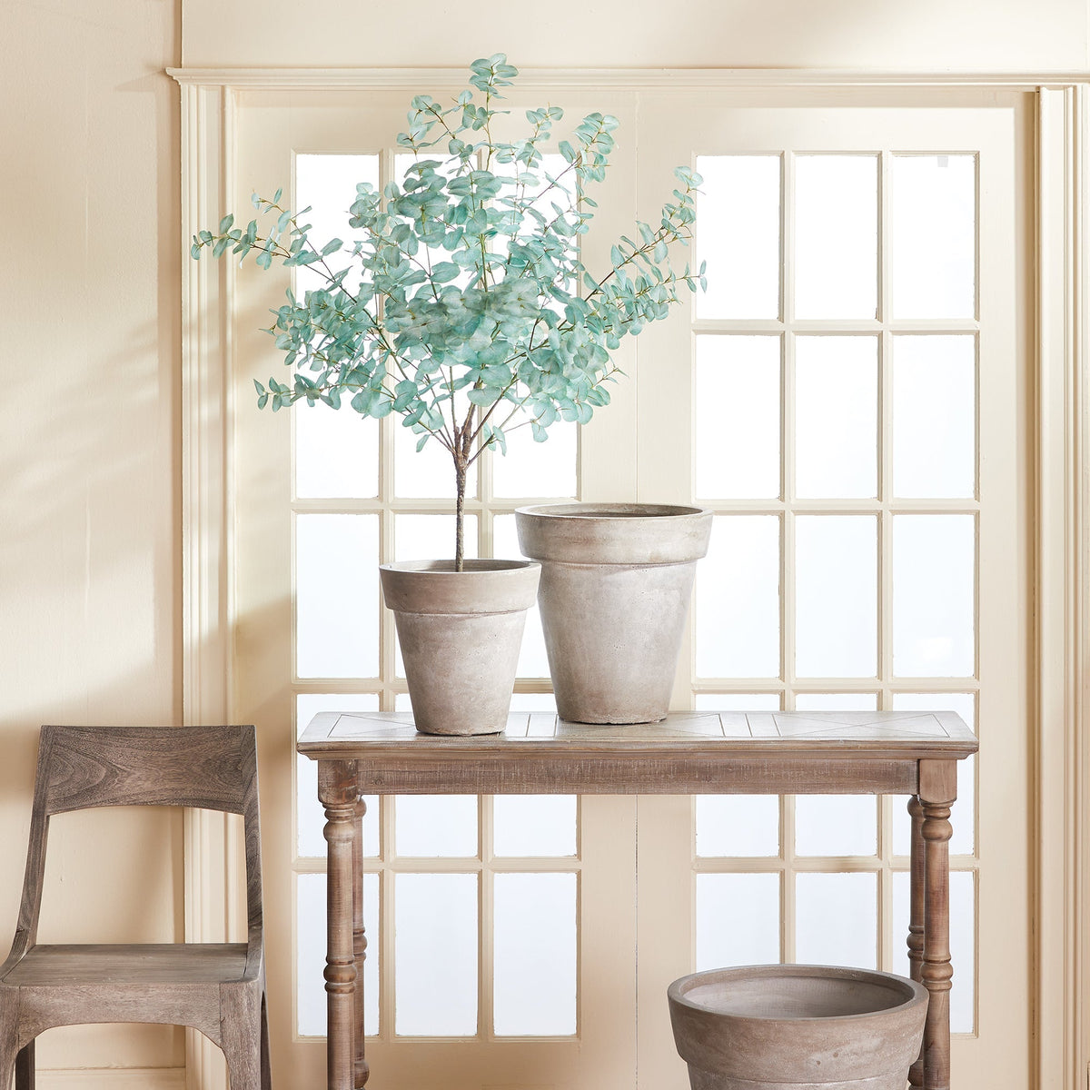Eucalyptus Tree Drop-In 49"-1