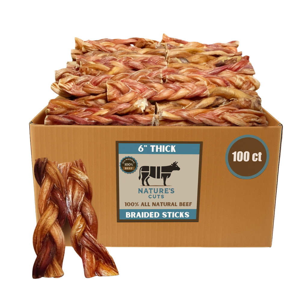 6" Thick Braided Bully Sticks-6