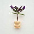 Modern Ribble Wooden Wall Vases | 7 Colour Options-5