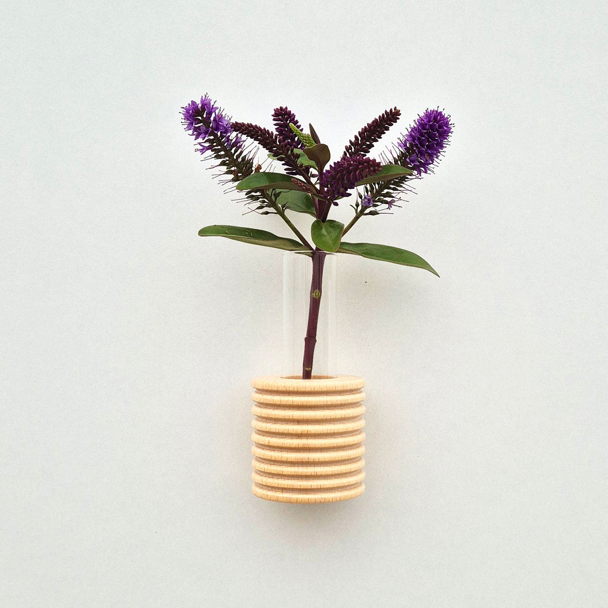 Modern Ribble Wooden Wall Vases | 7 Colour Options-5
