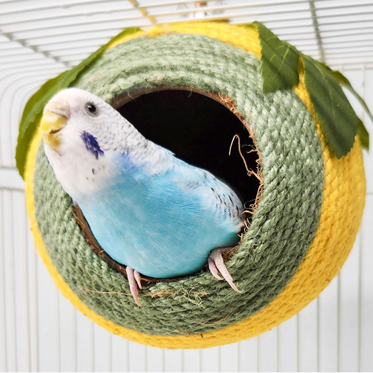 Natural coconut shell bird nest wrapped in colourful braided hemp rope with artificial leaf decor — view 5