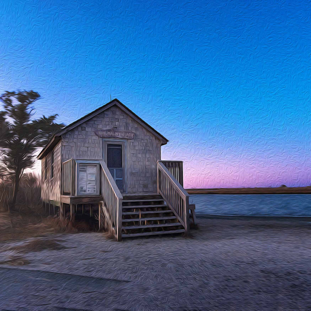 Naturalist Shack (Assateague Island)-0