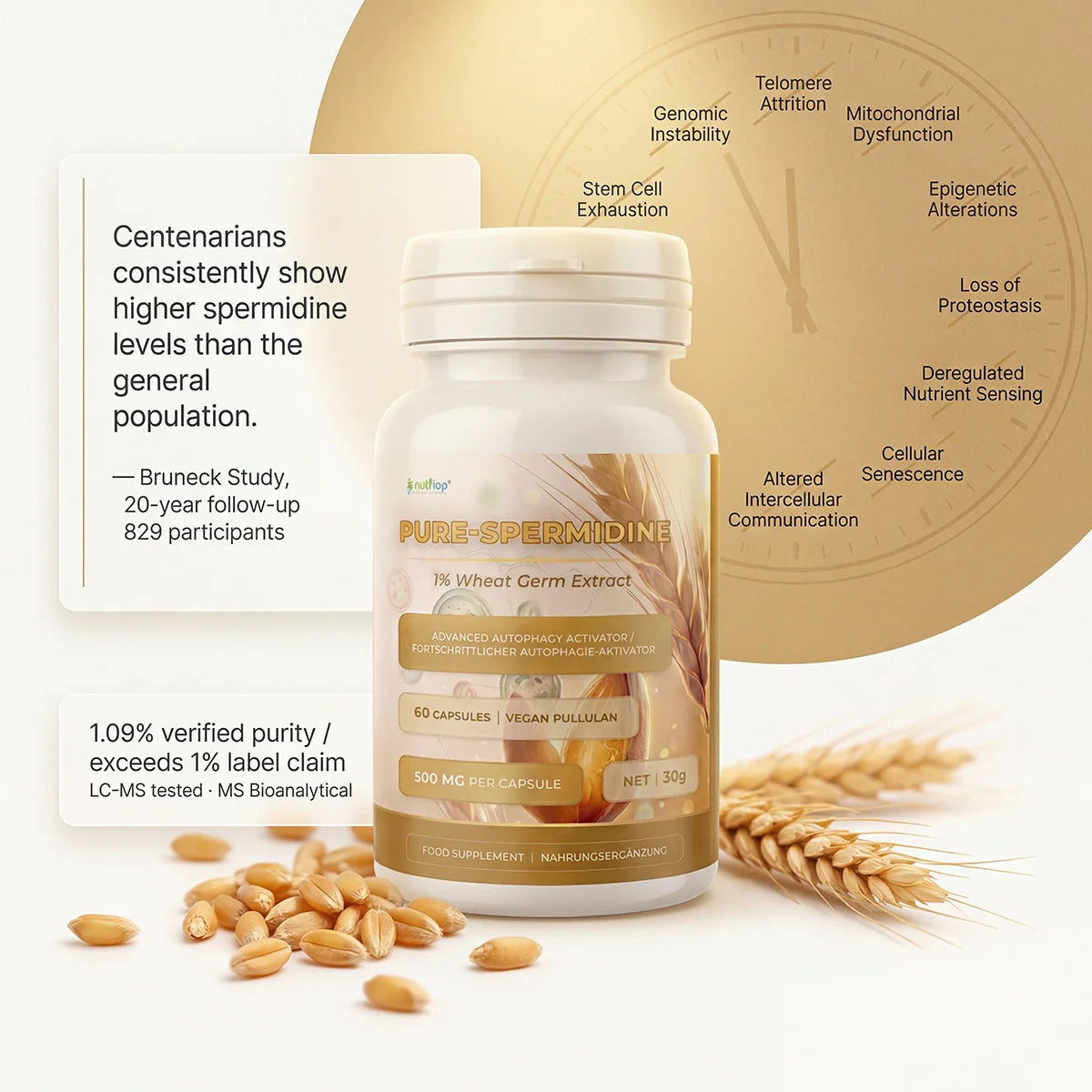 Bottle of Nutriop Pure Spermidine 10mg vegan capsules for advanced cellular longevity and autophagy support — view 5