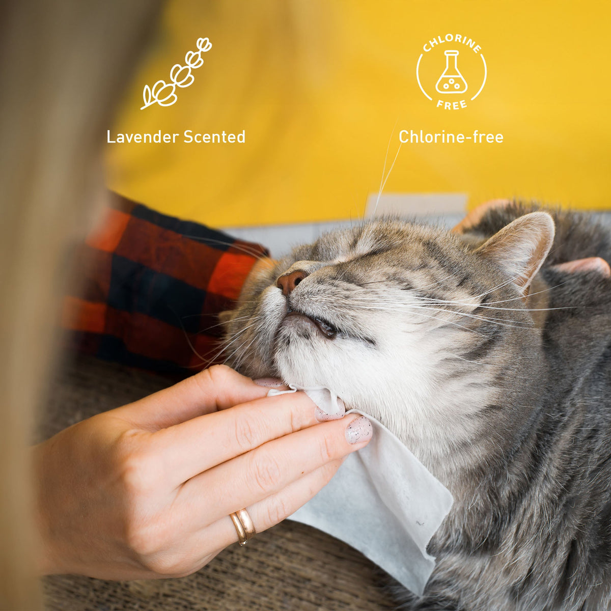 Pet Care Bundle: Furry Fresh Lavender Pet Wipes & Rechargeable Pet Hair Trimmer – Complete Grooming and Hygiene Kit for Dogs and Cats-2