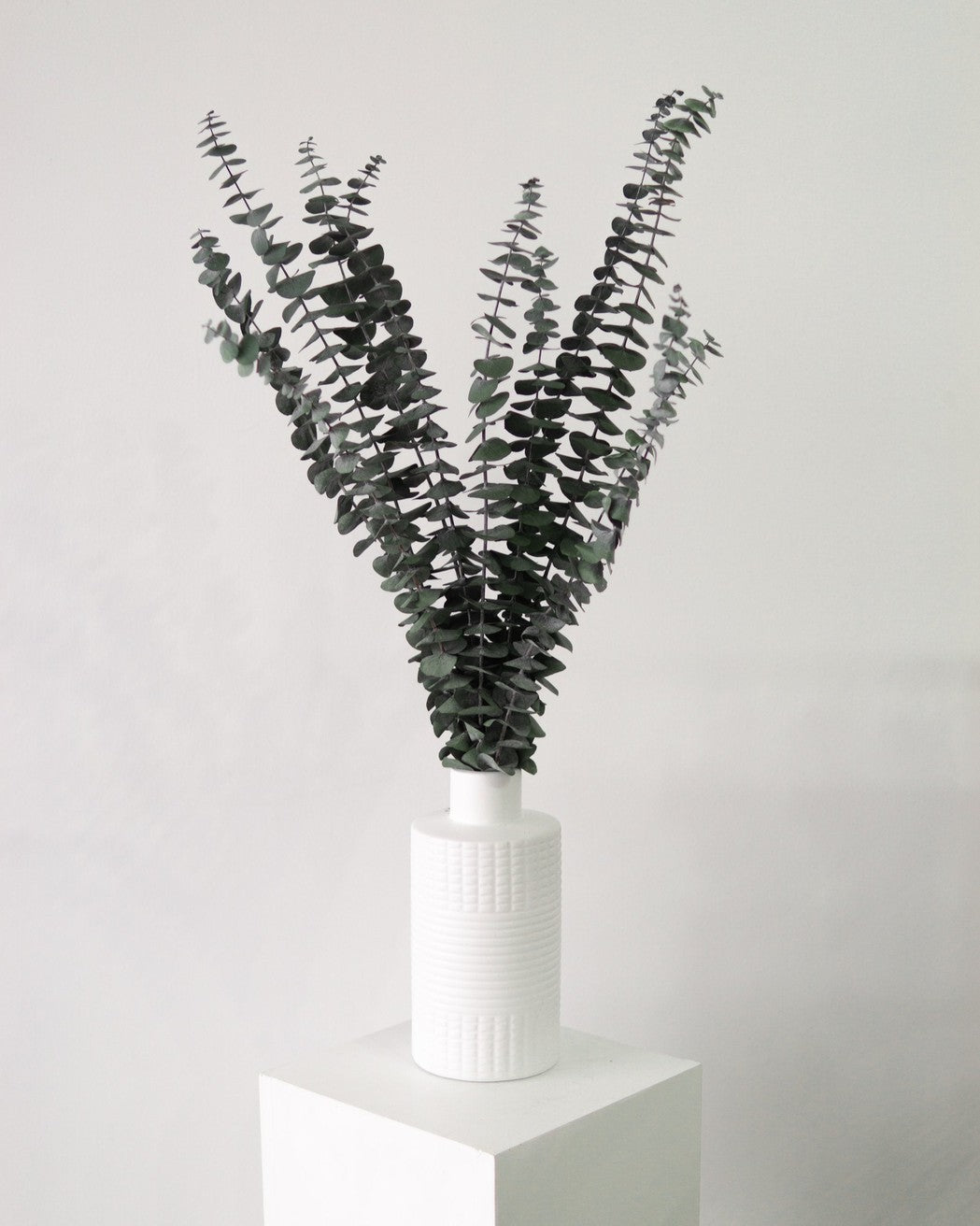 Green Eucalyptus-0