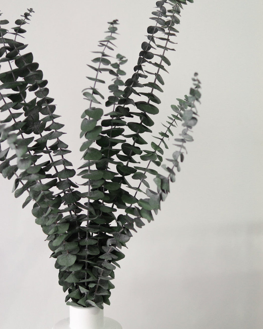 Green Eucalyptus-1