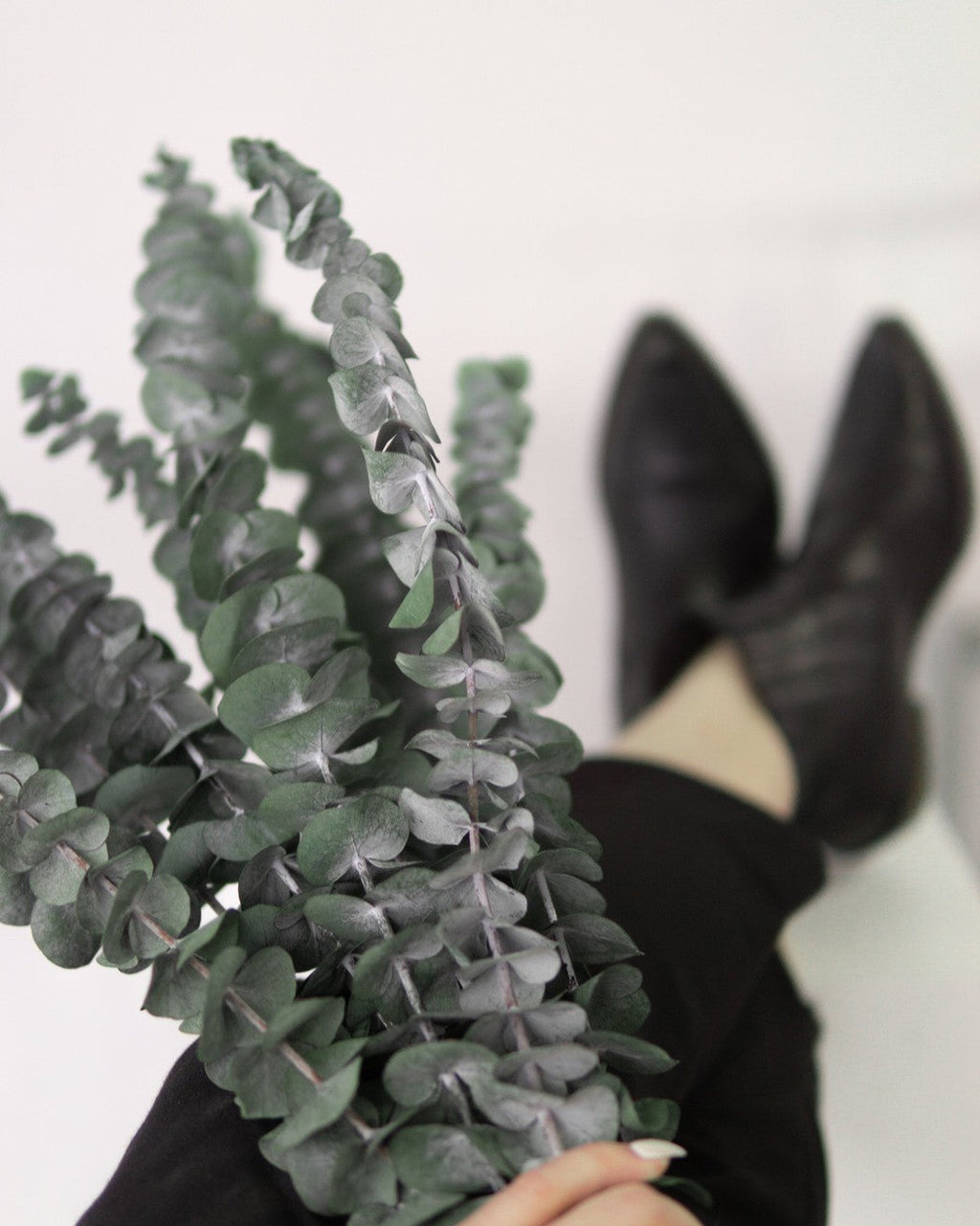 Green Eucalyptus-4