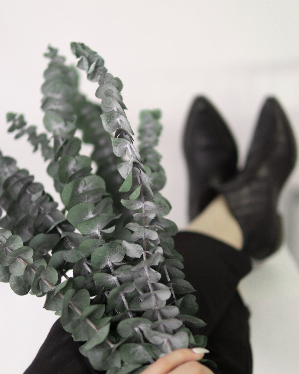 Green Eucalyptus-4
