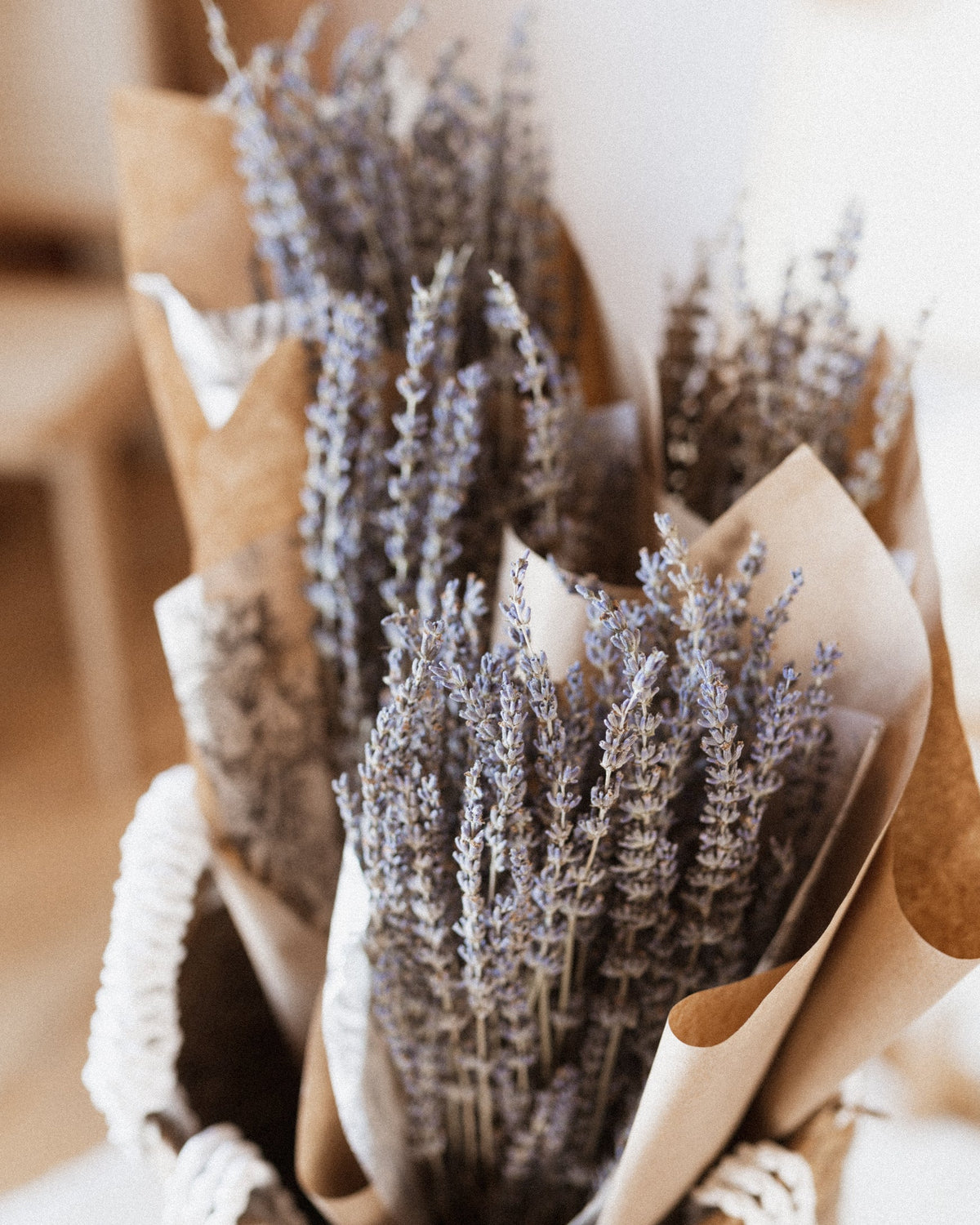 Dried Lavender-0