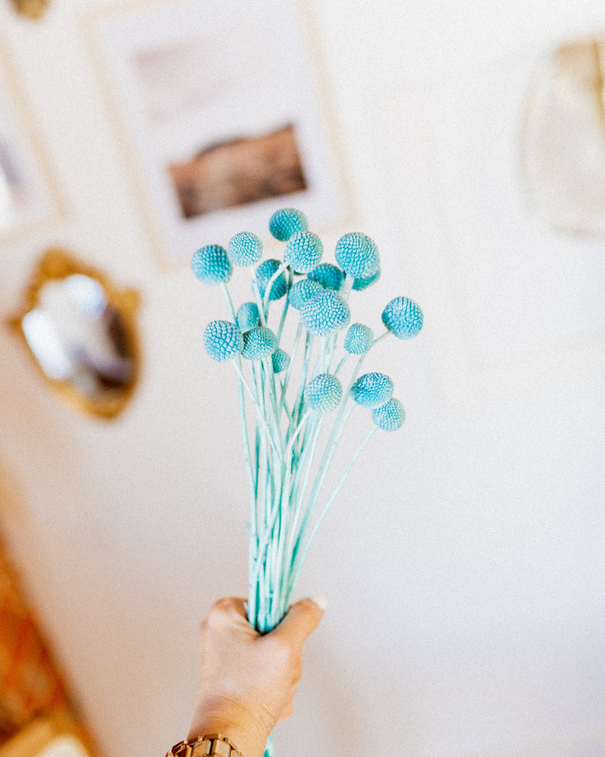 Billy Buttons-0