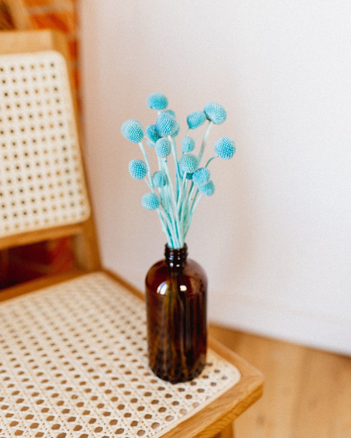 Billy Buttons-2