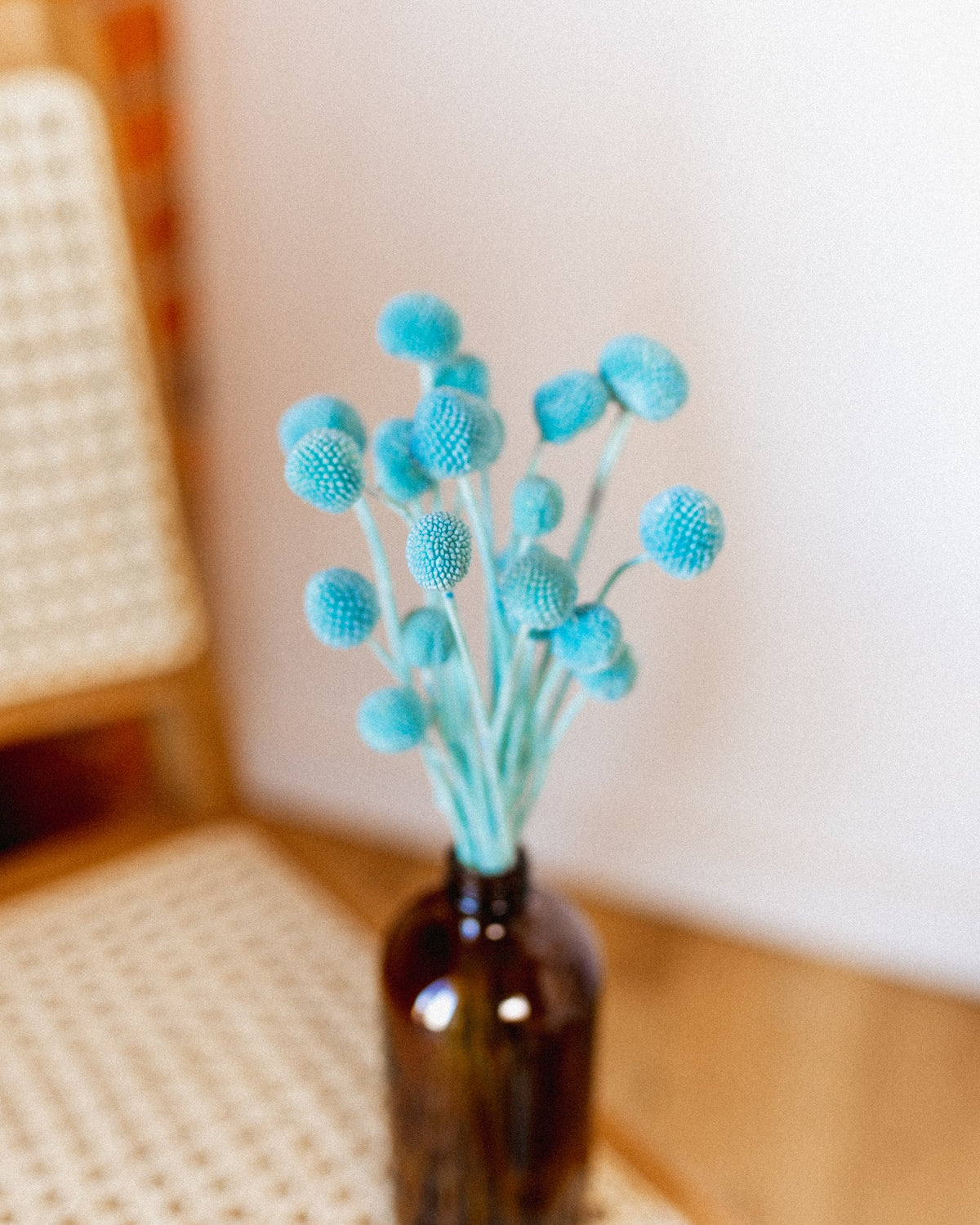 Billy Buttons-4