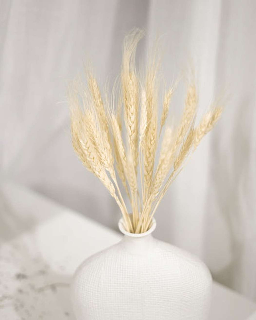 Wheat Tails-0