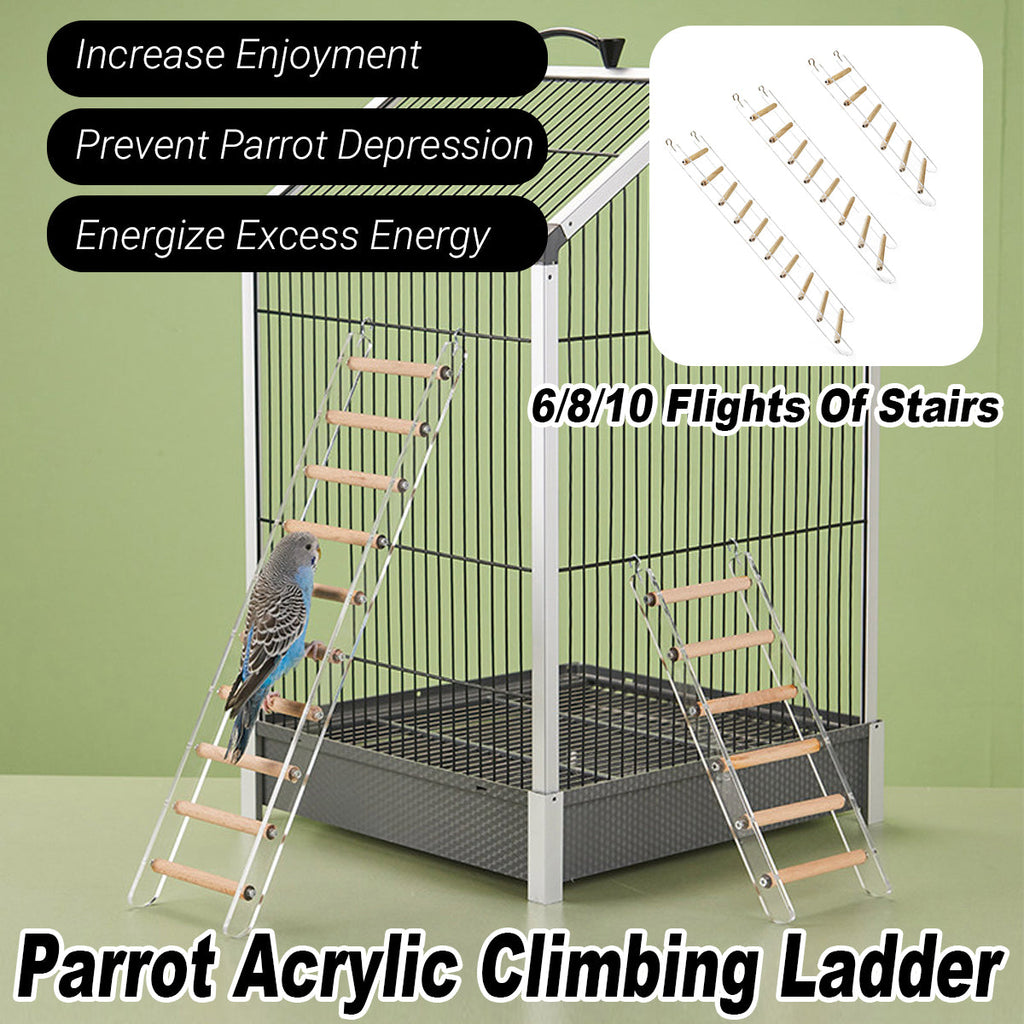 Acrylic bird cage climbing ladder with clear side panels, solid wood rungs, and metal cage hooks