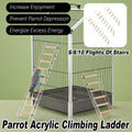 Acrylic bird cage climbing ladder with clear side panels, solid wood rungs, and metal cage hooks