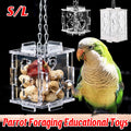 Transparent acrylic parrot foraging toy and treat dispenser with hanging metal chain.