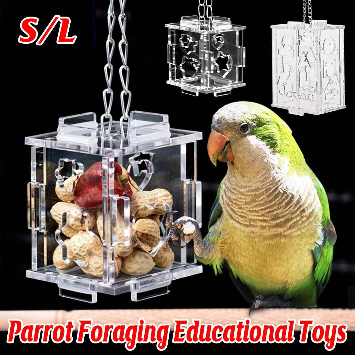 Transparent acrylic parrot foraging toy and treat dispenser with hanging metal chain.