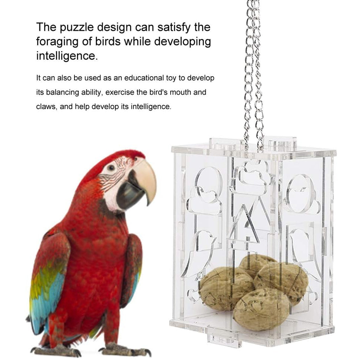 Transparent acrylic parrot foraging toy and treat dispenser with hanging metal chain. — view 5