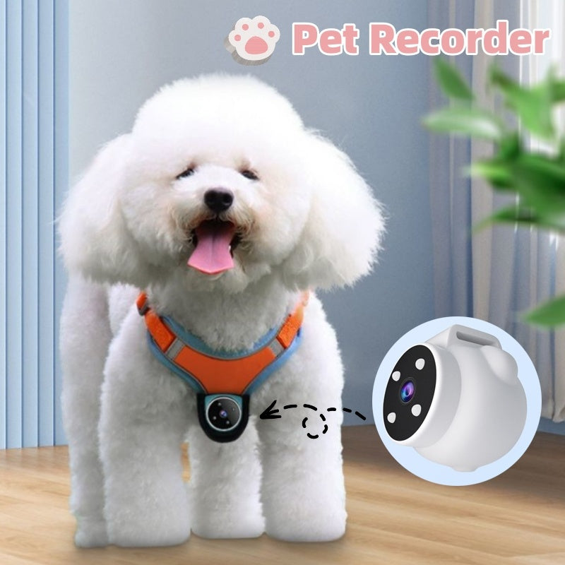 Pet Tracker Collar Dogs And Cats  Recording Camera-0