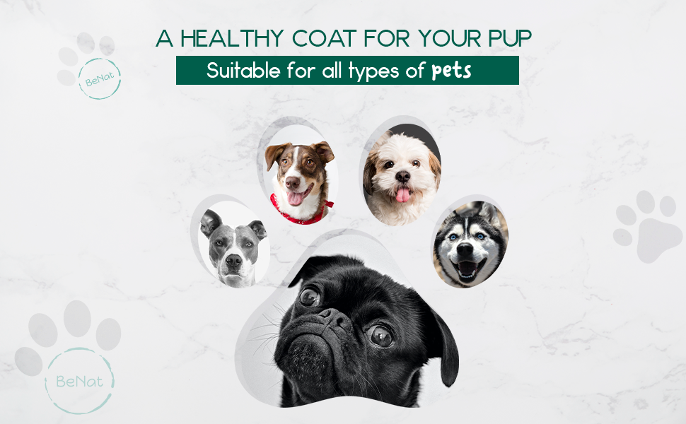 Round all-natural oat and lavender pet shampoo bar for dogs and cats — view 5