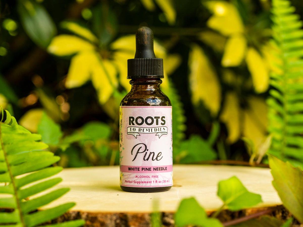 PINE NEEDLE HERBAL EXTRACT-0